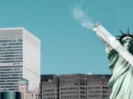 New York akerna legale cannabis verkoop jay-z amerikaanse staten