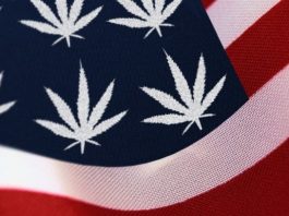 Canopy Growth CEO legale cannabis verkoop maine nebraska Amerikaanse verkiezingen cannabis legalisatie amerikaanse congres more act georgia