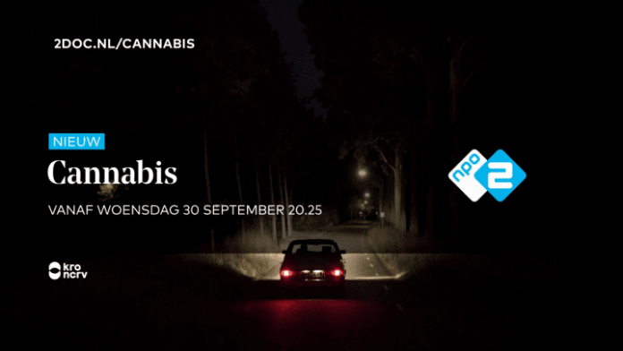 cannabis 2doc npo2 serie documentaireserie persbericht reactie Openbaar Ministerie (OM)