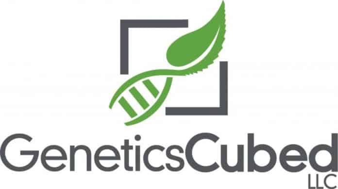 GeneticsCubed patent CBD cannabinoïde cannabichromene