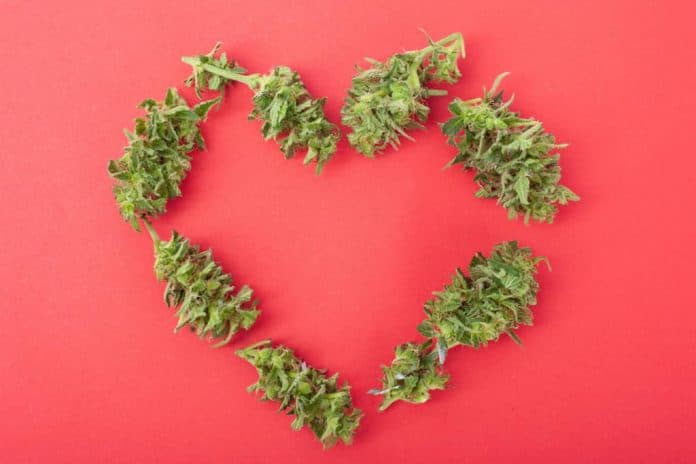 valentijnsdagweekend valentijnsdag cannabis legale verkoop