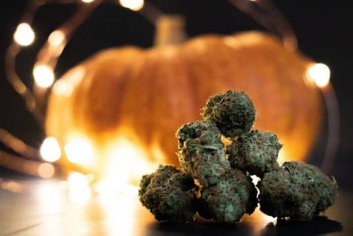 halloween cannabis uitgaven VS snoep kostuums