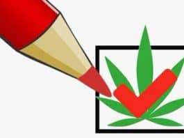 Gemeenteraadsverkiezingen 2022: raadpleeg de Cannabis-Kieswijzer