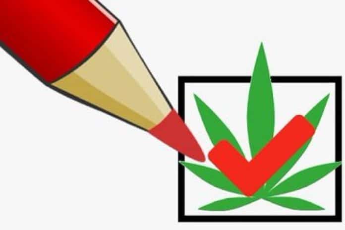 Gemeenteraadsverkiezingen 2022: raadpleeg de Cannabis-Kieswijzer