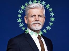 nieuwe tsjechische president petr pavel pro-cannabis legalisatie